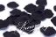 Picture of Silk Rose Petals Black